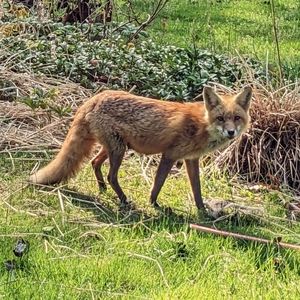 Meet your Posher, Lauren